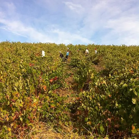 Do Valbom E Cuco * Torre De Moncorvo