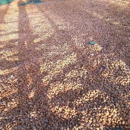 Quintas Do Valbom E Cuco