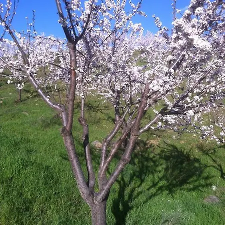 Do Valbom E Cuco 托里－迪蒙科尔武