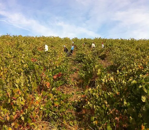 Do Valbom E Cuco * 토레드몽코보